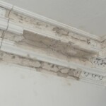 Cornice Restoration - Plaster Crafts Edinburgh Cornicing Repairs and Restoration